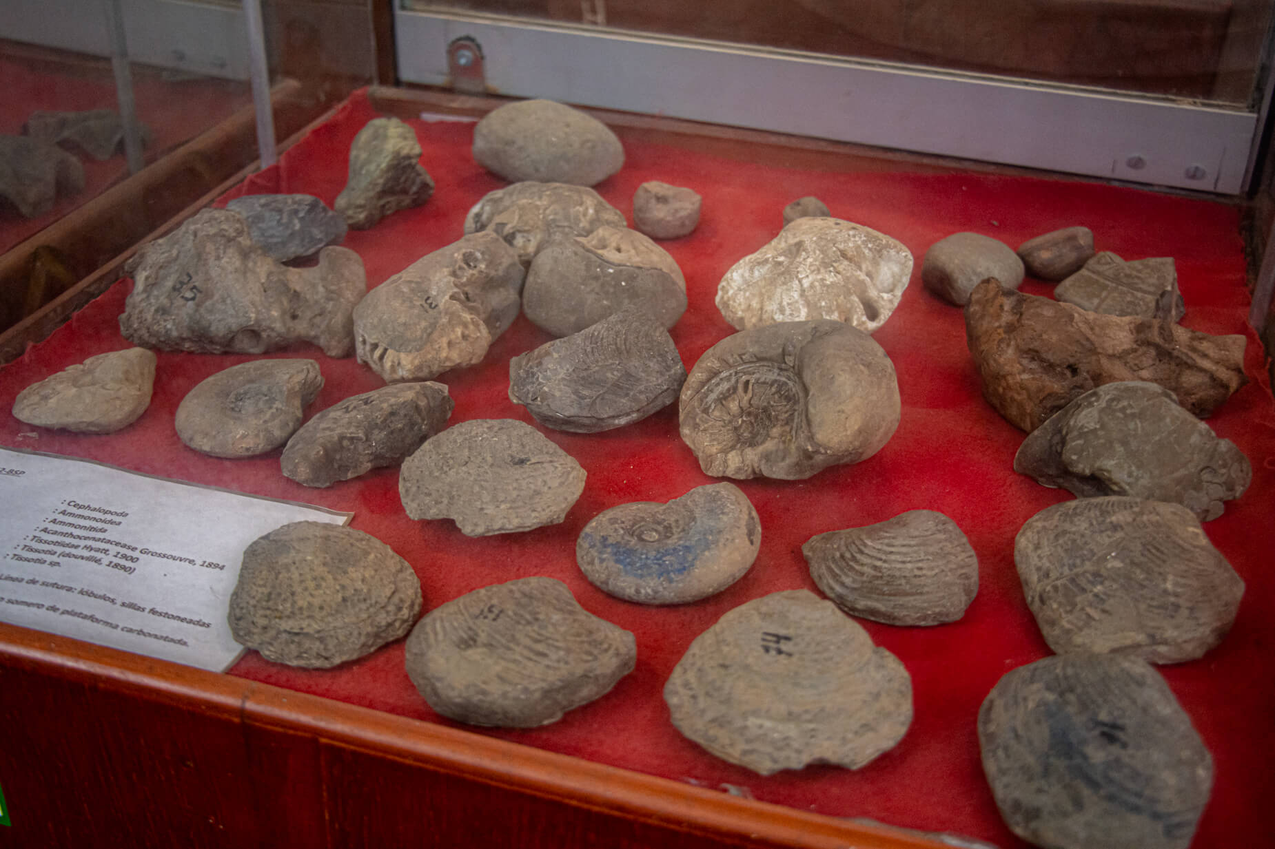 434499620_1024832219220977_8969573776481898921_n