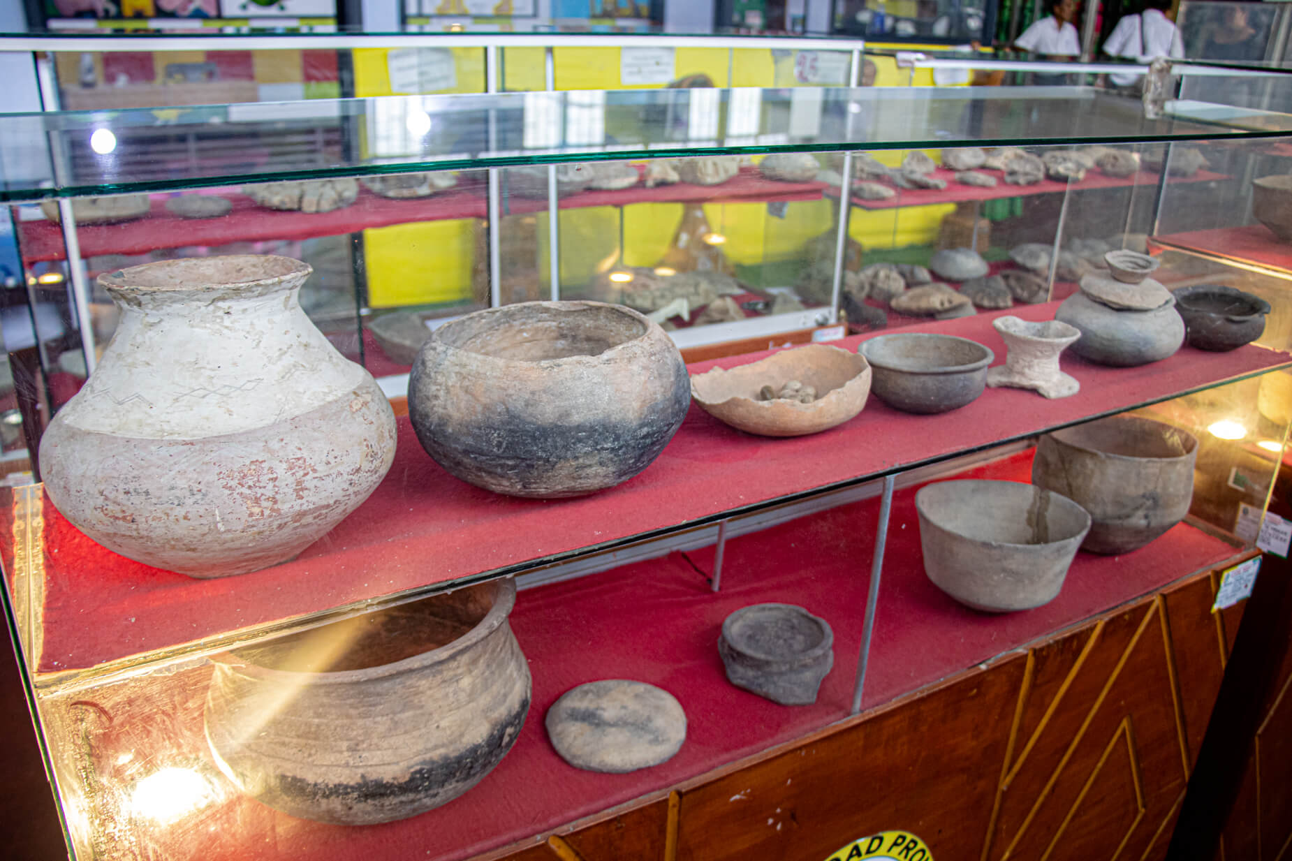 434560777_1024832445887621_5885130271049424066_n