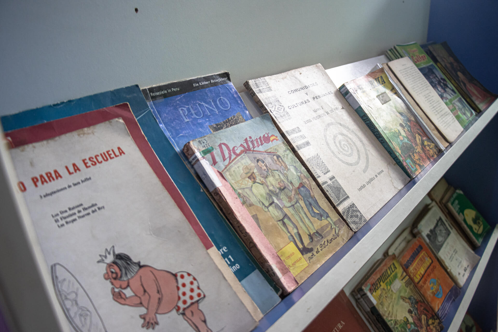 434852784_1024832265887639_6310833354795618957_n