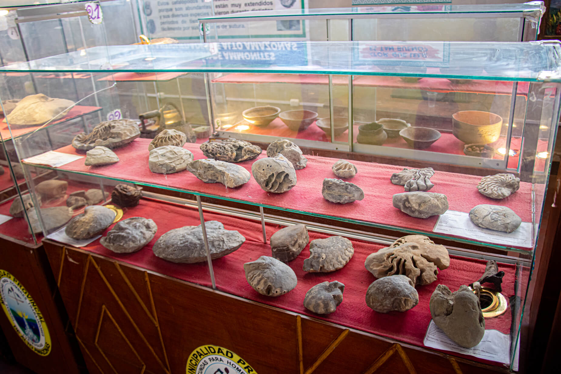 434864767_1024832269220972_4627374043286185834_n